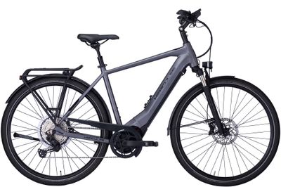 E-Bike Tourenrad Hercules Pasero Pro I-12 2022 (Bild 1)