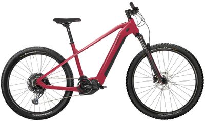 E-Trailbike HoheAcht SENTO ROKO 2022 (Bild 1)