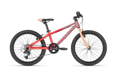 Kinderfahrrad 20 Zoll Kellys Kiter 30 2026 | 20 Zoll | Diamant (Bild 1)
