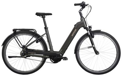 E-Stadtrad Kettler QUADRIGA P5 BELT RT 2022 (Bild 1)