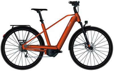 E Crossbike Kettler QUADRIGA TOWN & COUNTRY P10 2023 (Bild 2)