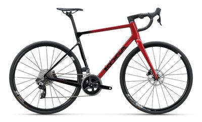 Endurance Bike KOGA Roqa Premium 2024 | 28 Zoll | Diamant | L | Metallic Red (Bild 1)