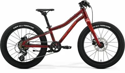 Kinderfahrrad 20 Zoll Merida MATTS J. 20+ 2024 | 20 Zoll | Diamant (Bild 1)