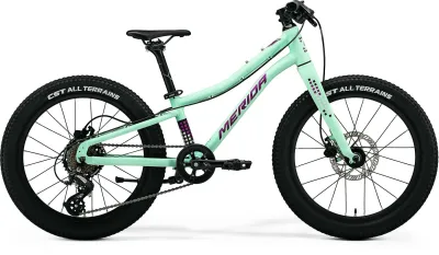 Kinderfahrrad 20 Zoll Merida MATTS J. 20+ 2024 | 20 Zoll | Diamant (Bild 2)