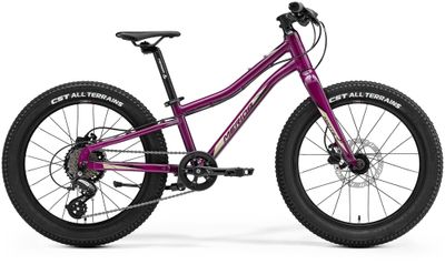 Kinderfahrrad 20 Zoll Merida MATTS J.20+ 2023 | 20 Zoll | Diamant (Bild 1)