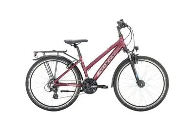 Jugendfahrrad 26 Zoll Noxon Striker FG ND 2025 | 26 Zoll | Trapez (Bild 1)