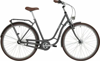 Hollandrad Panther Antero 1.0 2023 | 28 Zoll | Schwanenhals | S | grau matt (Bild 1)