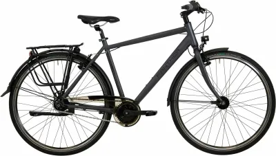 Urban Bike Panther Caraz 5.0 2023 | 28 Zoll | Diamant (Bild 1)