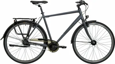Urban Bike Panther Caraz 5.0 2023 | 28 Zoll | Diamant (Bild 1)