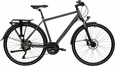 Tourenrad Panther Laval 5.0 2023 | 28 Zoll | Trapez (Bild 1)