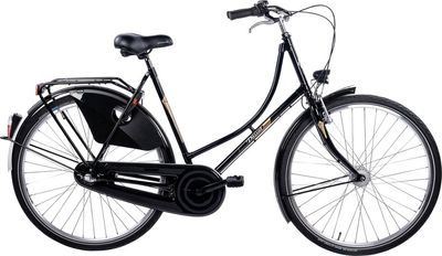 Hollandrad PASSAT Classic 7 ND 2024 | 28 Zoll | Schwanenhals (Bild 1)