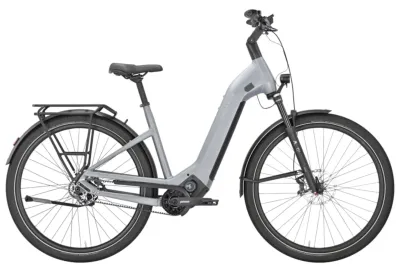 E-Bike Tourenrad Pegasus ESTREMO EVO 12 Lite 2025 | 700 Wh | 28 Zoll | Tiefeinsteiger | M | holographic grey matte (Bild 1)