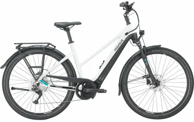 E-Bike Tourenrad Pegasus Premio EVO 10 Lite 2023 | 625 Wh | 28 Zoll | Trapez (Bild 1)