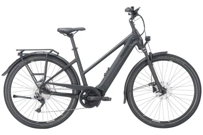 E-Bike Tourenrad Pegasus Premio EVO 10 Lite 2023 | 750 Wh | 28 Zoll | Trapez (Bild 2)