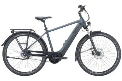 E-Stadtrad Pegasus Premio EVO 5R Belt 2023 | 500 Wh | 28 Zoll | Diamant (Bild 1)