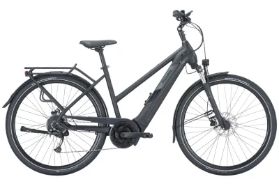 E-Crossbike Pegasus Solero EVO 9 2023 | 625 Wh | 28 Zoll | Trapez (Bild 1)