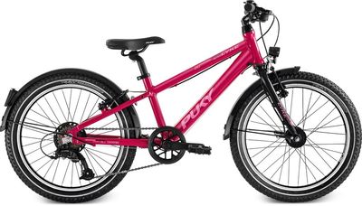 Kinderfahrrad 20 Zoll Puky Cyke 20-7 Active 2025 | 20 Zoll | Diamant (Bild 2)