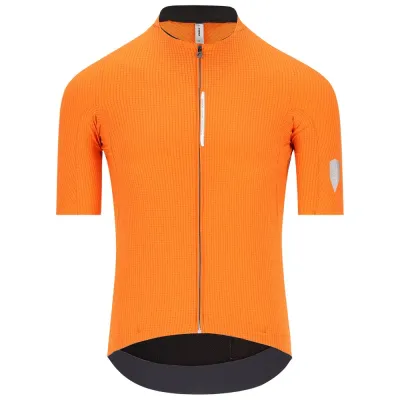 Fahrradtrikots kurzarm Q36.5 Dottore PRO (Bild 78)