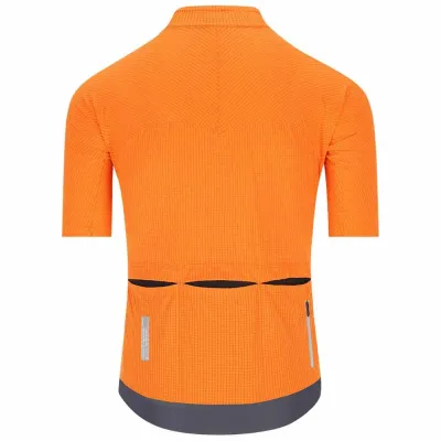 Fahrradtrikots kurzarm Q36.5 Dottore PRO (Bild 83)