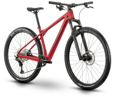 Cross Country Bike R Raymon Arid Pro 2025 | 29 Zoll | Diamant (Bild 1)