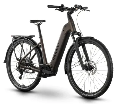 E-Bike Tourenrad R Raymon Tahona 600 2025 | 600 Wh | 29 Zoll | Tiefeinsteiger (Bild 1)