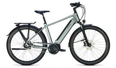 E-Stadtrad Raleigh BRISTOL XXL 2022 (Bild 1)