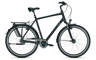 Stadtrad Raleigh CHESTER 8 XXL 2022 (Bild 1)