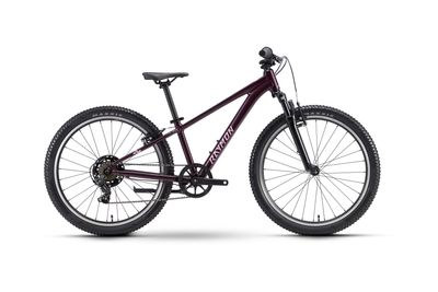 Kinderfahrrad 24 Zoll RAYMON Nayta 24 Comp 2026 | 24 Zoll | Diamant | One Size | floridplum (Bild 4)