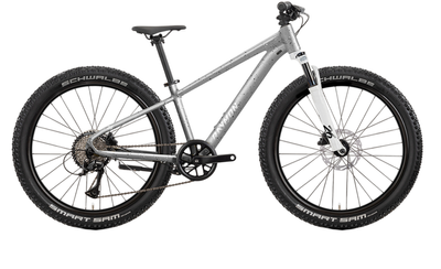 Jugendfahrrad 26 Zoll RAYMON Nayta 26 Pro 2026 | 26 Zoll | Diamant | One Size | grey confetti (Bild 1)