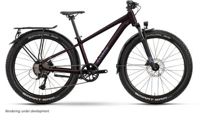 Jugendfahrrad 26 Zoll RAYMON Nayta 26 Pro Street 2026 | 26 Zoll | Diamant | One Size | floridplum (Bild 1)