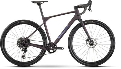 Gravel Bike RAYMON Soreno Pure 2026 | 28 Zoll | Diamant | S | floridplum (Bild 1)