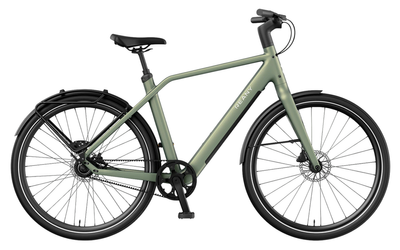 Urban E-Bike REANY N1 GT 2026 | 360 Wh | 28 Zoll | Diamant | One Size | Sage Green (Bild 1)