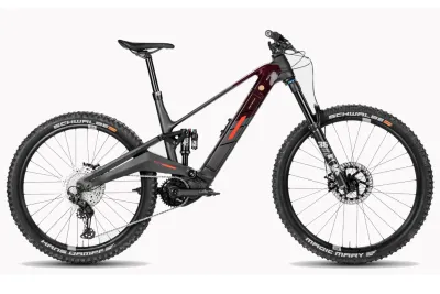 E-Allmountain MTB Rotwild R.EX CORE 2025 | 820 Wh | 29 / 27,5 Zoll | Diamant | S | red transparent (Bild 1)
