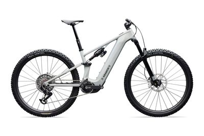 Enduro E-Bike Specialized S-Works Turbo Levo R 2026 | 900 Wh | 29 / 27,5 Zoll | Diamant | S5 | Gloss Dolomite / Viavi Silver Green Pearl / Oak Gr (Bild 2)