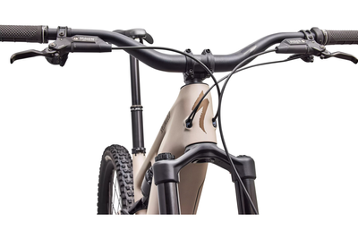 Enduro E-Bike Specialized Turbo Levo 4 Expert 2026 | 840 Wh | 29 / 27,5 Zoll | Diamant | S3 | Satin Sandstone Metallic / Burnt Gold Metallic (Bild 13)