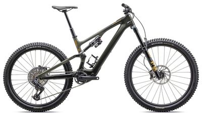 Enduro E-Bike Specialized Turbo Levo SL Expert Carbon 2024 | 320 Wh | 29 / 27,5 Zoll | Diamant | S4 | Dkmos / Oakgrn / Hrvgld (Bild 1)
