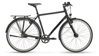 Stadtrad Stevens City Flight Gent 2021 | 28 Zoll | Diamant (Bild 1)