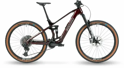 E-Allmountain MTB Stevens E-Maverick AM 9.4.3 2024 | 360 Wh | 29 Zoll | Diamant (Bild 1)