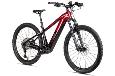 E-Cross Country Bike Trek Powerfly+ 8 Gen 5 2026 | 800 Wh | 29 Zoll | Diamant (Bild 2)