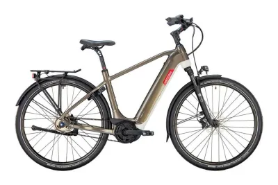 E-Bike Tourenrad Victoria MANOC 3 LL 2025 | 625 Wh | 28 Zoll | Diamant | 54 cm | quartz grey (Bild 1)