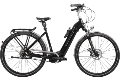 E-Stadtrad Wanderer E-Tourer I-F5 2024 | 625 Wh | 28 Zoll | Tiefeinsteiger (Bild 1)