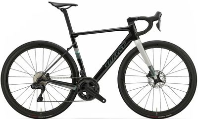 Gravel Bike Wilier Rave SL 105 Di2 2024 | 28 Zoll | Diamant (Bild 1)