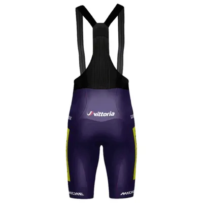 MTB Shorts Wilier Vittoria kurze Hose (Bild 2)