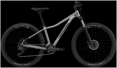 Cannondale Trail Bike Cannondale 29 F Trail 5 2021 | 29 Zoll | Diamant