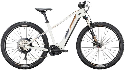 E-Trailbike Conway Cairon S 5.0 2022 | 750 Wh | 29 Zoll | Diamant