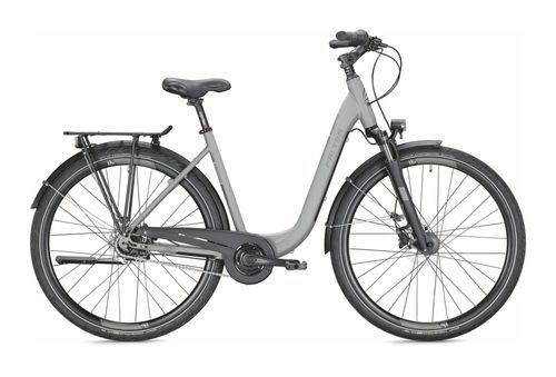 Stadtrad FALTER C 4.0 PLUS 2022 | 28 Zoll | Tiefeinsteiger