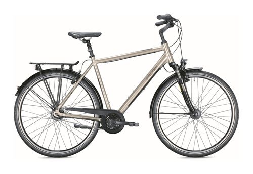 Stadtrad FALTER C 5.0 2022 | 28 Zoll | Diamant