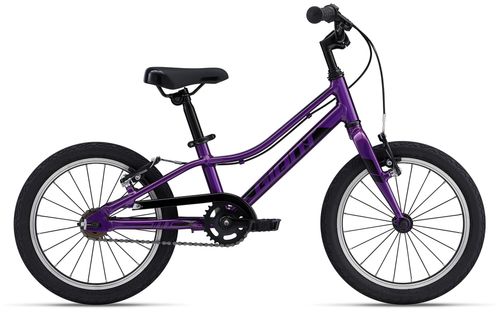 Kinderfahrrad 16 Zoll GIANT ARX 16 2022 | 16 Zoll | Diamant