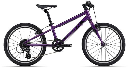 Kinderfahrrad 20 Zoll GIANT ARX 20 2022 | 20 Zoll | Diamant