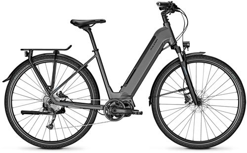 E-Bike Tourenrad Raleigh PRESTON 9 2021
